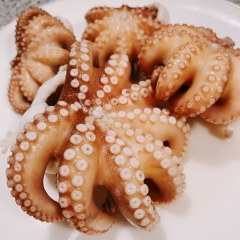 【洄家吃魚】澎湖野生石巨章魚 ( 250g )