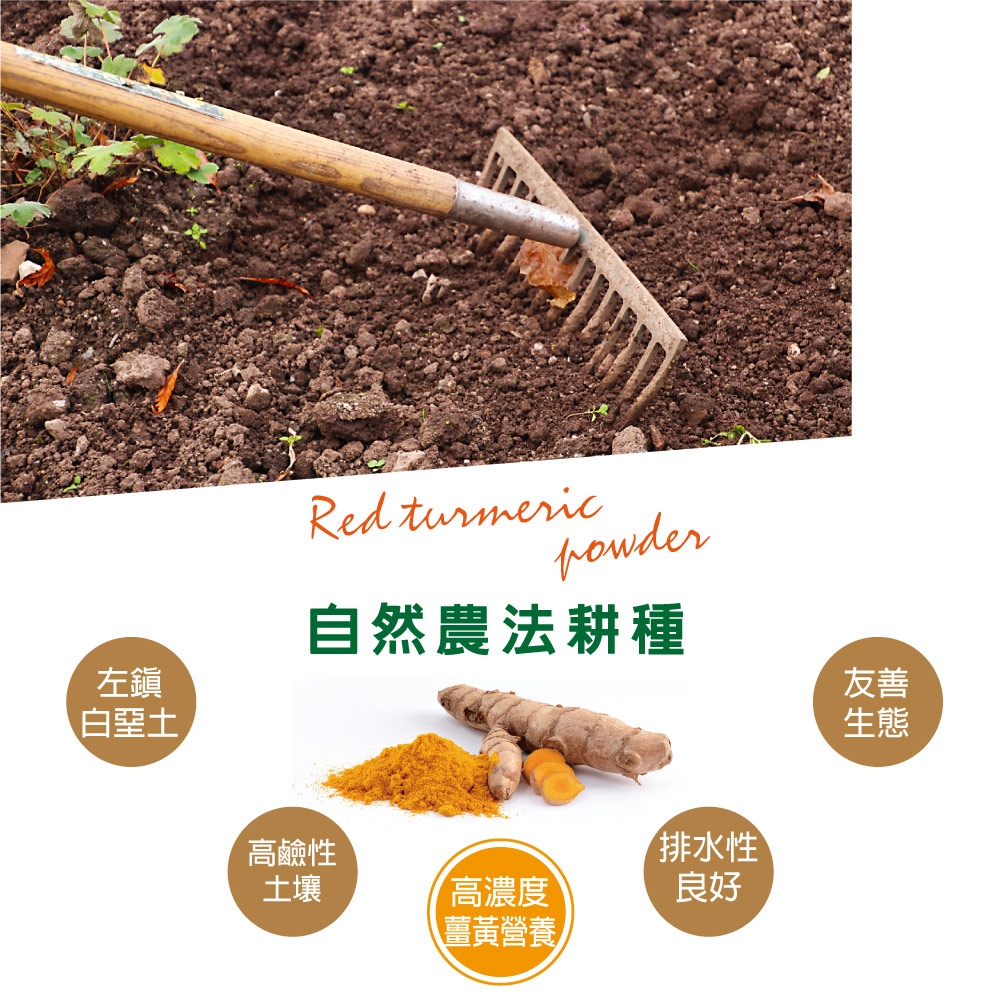 字卡_薑黃粉2020-12-自然農法